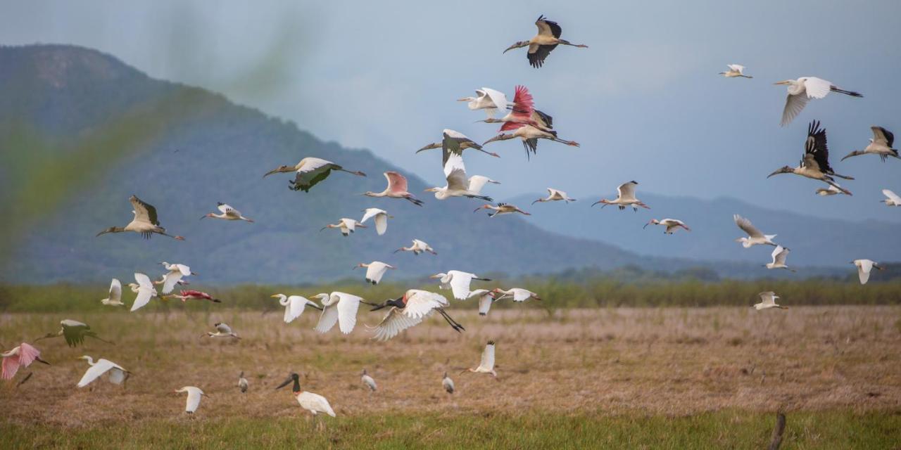 Rancho Humo Estancia Puerto Humo  Dış mekan fotoğraf