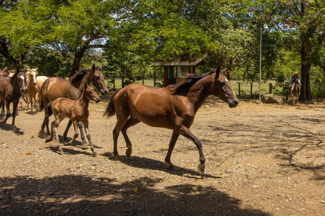Rancho Humo Estancia Puerto Humo  Dış mekan fotoğraf